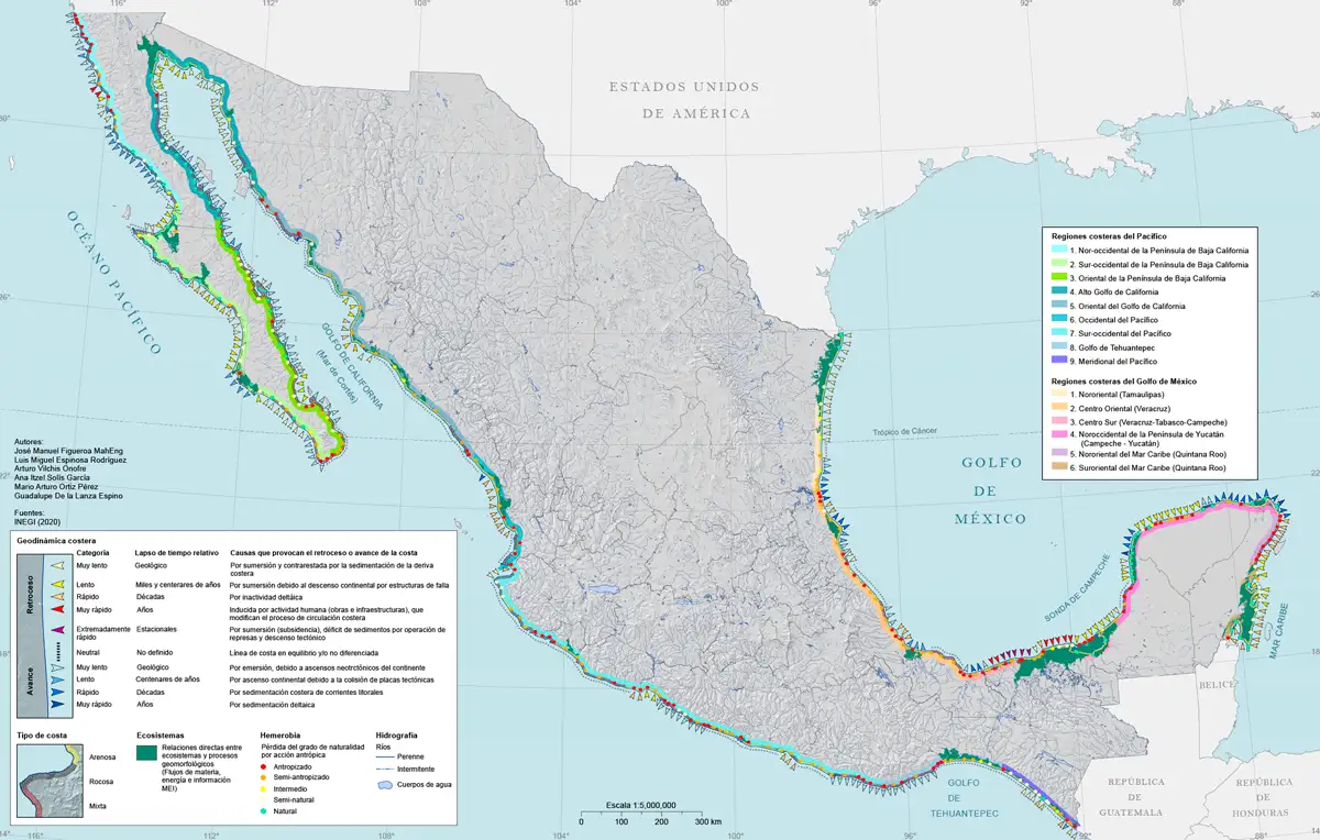 III.9.1 Regionalización biogeomorfológica de las costas.