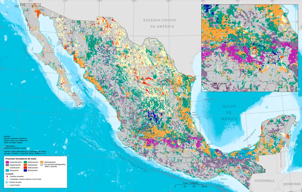 III.6.2. Procesos formadores del suelo
